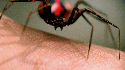 The moment when the radioactive spider bites Peter Parker's hand